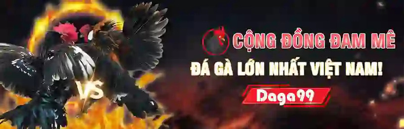 Daga99 đang là thương hiệu cá cược chuyên về đá gà online hấp dẫn