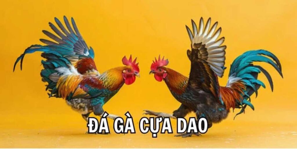 Các trò chơi hấp dẫn nhất tại Daga99